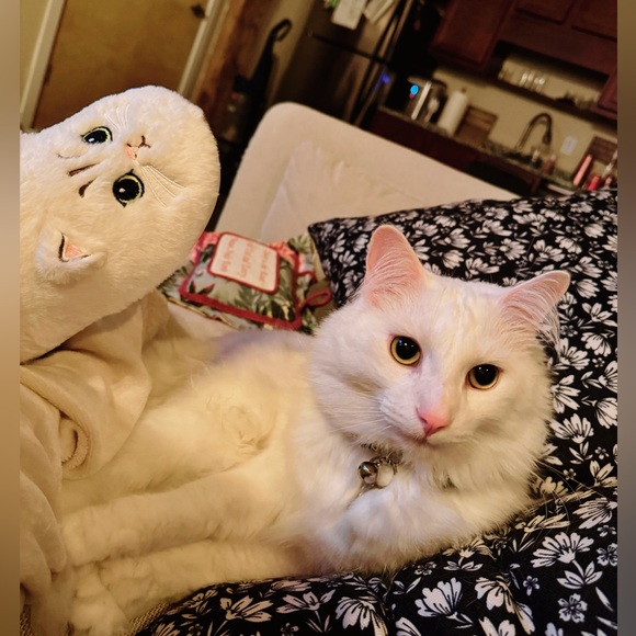 Hi I'm Lindsey! - Picture 4 of 8